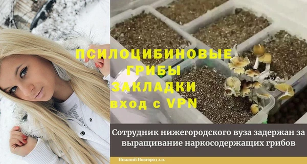 ECSTASY Алексеевка