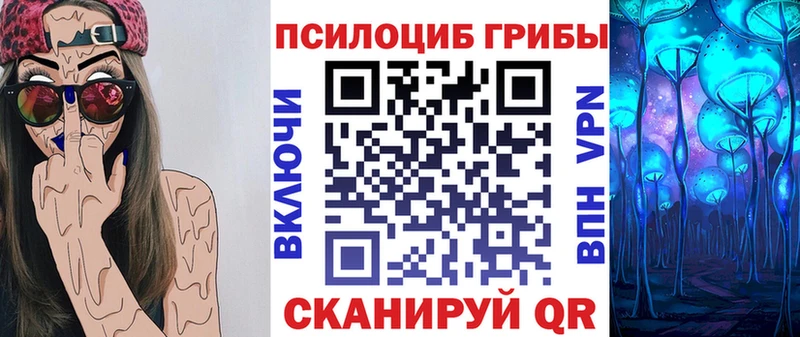 купить  сайты  Шатура  Галлюциногенные грибы мицелий 